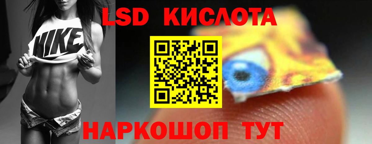 hydra ТОР  LSD-25 экстази кислота  Новочеркасск  Вход с VPN  LSD-25 экстази кислота 